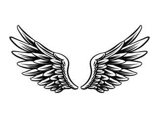 Illustration of wing for branding and logo element