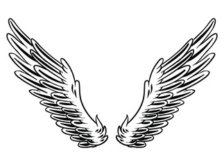 Illustration of wing for branding and logo element
