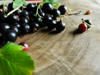 Fresh black currants on a wooden board