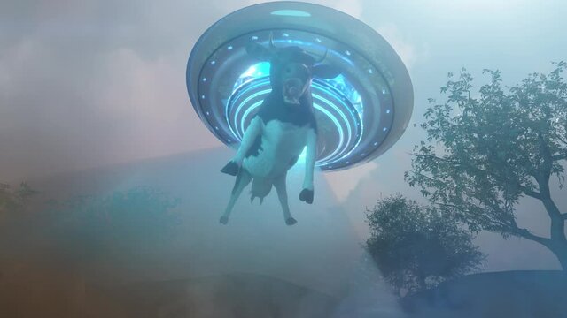 Cow abducted by a UFO on the farm pulling of the alien spacecraft render 3d