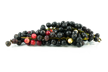 Antidesma puncticulatum Miq, Thai Blueberry Fruit (Mamao) isolated on white background.Can be extracted into medicine and wine Growing in the Northeast of Thailand.