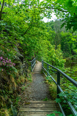 Fototapeta premium The Burgkhammer Dam, an integral part of the Saale Cascade, is known for its picturesque location and historical significance. Built between 1930 and 1932