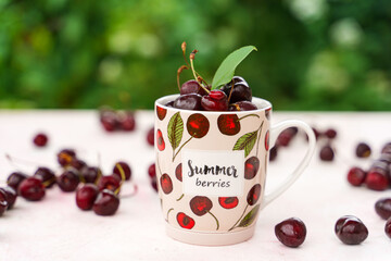 Sweet cherries in a tea mug on garden table against green foliage