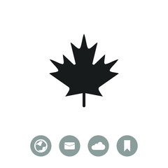 Maple Leaf vector icon.