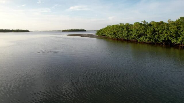 Florida bay and islands with dolphin and sea birds flyover on a late summer afternoon.