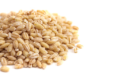 Pile of Barley Wheat Isolated on a White Background