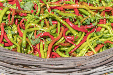 pile of colorful fresh peppers as a background