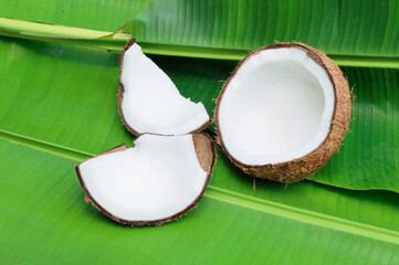 Abstract Water droplets gathered on the windshield. 