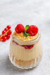 Homemade raspberry trifles on a light background.