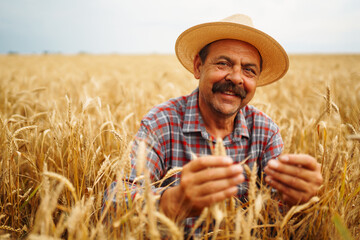 Fototapeta premium Farmer in the hatstraw hat standing in a wheat field, looking at the crop. The concept of the agricultural business.