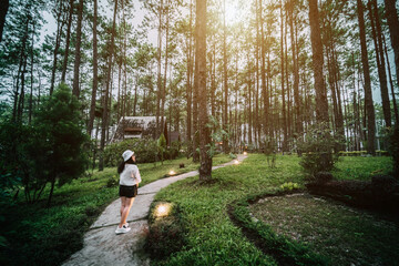 Winter travel relax vacation,Portrait Asian female tourist in white dress with hat stands in pinewood cabin in pine forest green on nature trail at Doi Bo Luang Forest Park,Chiang Mai, Thailand