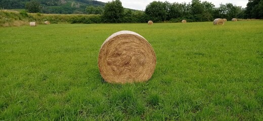 bale of hay