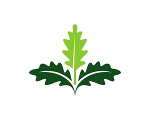 oak leaf logo