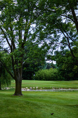 golf course on a sunny day looking at the golf holes