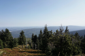 September in the Jizera Mountains, spruce trees on the ridge © Piotr