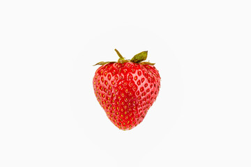 One ripe strawberry berry isolated on white background.