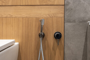 toilet and detail of a corner shower bidet with wall mount shower attachment