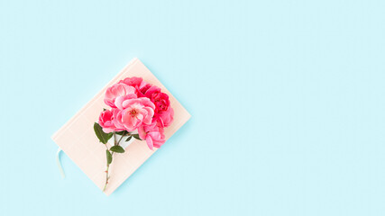 A branch with rose buds laying on pink notepad on blue background. Top view with copy space