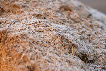 Dry straw agriculture background, Dry straw texture background.