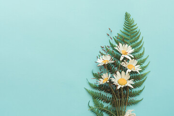 Cosy bouquet of rural chamomile flowers with fern on turquoise background with copy space. Minimalistic concept.