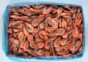 Frozen shrimp in a cardboard box. For wholesale.
