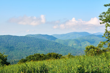 Panoramic view of the spring landscape, countryside. Green forests and meadows, blue sky with white clouds.
