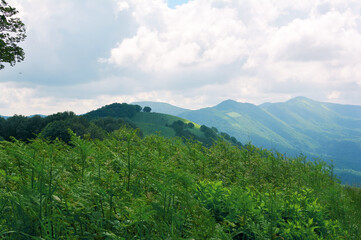 Fototapeta premium Panoramic view of the spring landscape, countryside. Green forests and meadows, blue sky with white clouds.