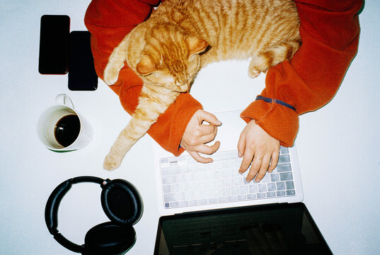 WFH
