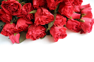 greeting card design. large bouquet of red roses on a white background and blank for text 