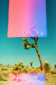 Double exposure desert landscape