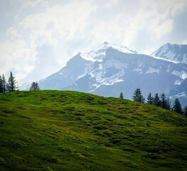 Fototapeta premium Schweiz