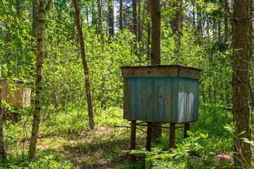 Fototapeta premium bee hive in the forest to collect organic honey