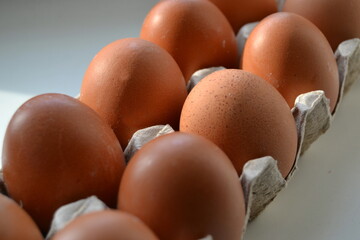 Close up of raw chicken eggs in egg box soft focus. Raw chicken eggs in egg box organic food for good health high protein .