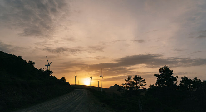 Panoramic of windmills at sunset