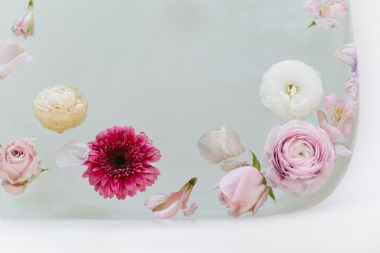 Flower Blossoms Floating on Water in the Corner of a Bath Tub