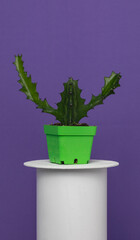 Cactus in a green pot with a fuchsia background.