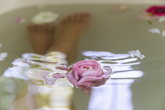Flower Floating in a Bathtub where a Woman is Bathing