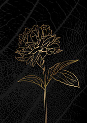 Minimalist botanical illustration. Golden outline of a plant on a black background.. Suitable for posters, greeting cards, corporate cards and invitations, book covers and notebooks.