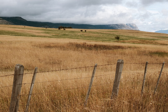 Soft autumn landscape