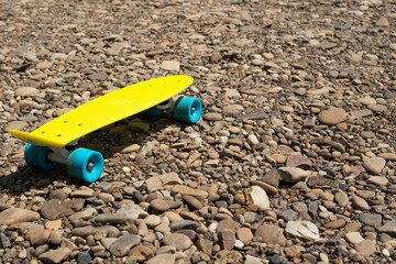 penny board on the street in nature