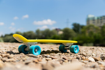 penny board on the street in nature