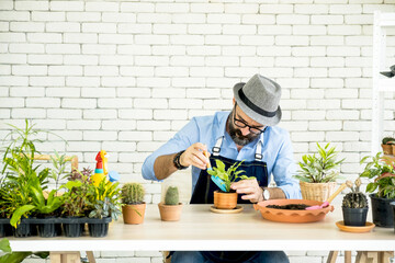 Senior caucasian man or grandfather with a mustache beard enjoys gardening for the tree at home.