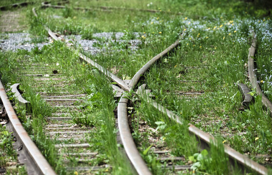 Overgrown Railroad Tracks 