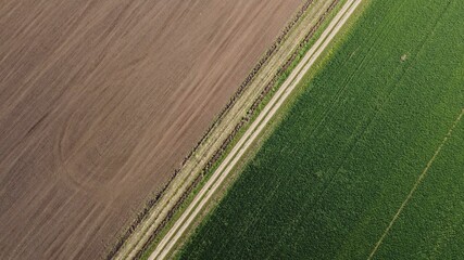 Obraz premium texture