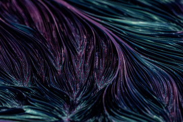 Abstract organism texture