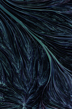 Abstract organism texture
