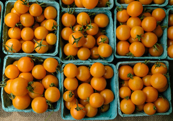 oranges in the market