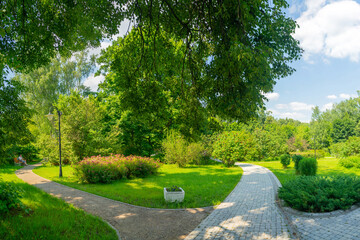 Summer park trees and alleys on a sunny day.