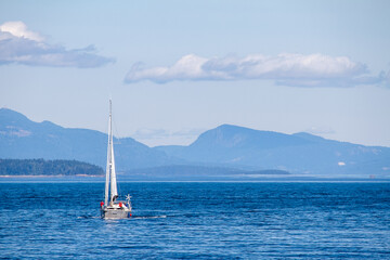 sailboat on the sea