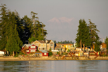 houses in Olympia